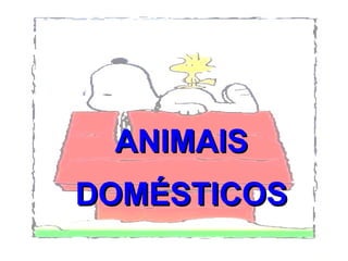 ANIMAIS DOMÉSTICOS 