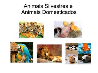 Animais Silvestres e
Animais Domesticados
 