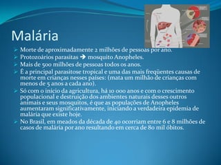 Malária
 Morte de aproximadamente 2 milhões de pessoas por ano.
 Protozoários parasitas  mosquito Anopheles.
 Mais de 500 milhões de pessoas todos os anos.
 É a principal parasitose tropical e uma das mais freqüentes causas de
  morte em crianças nesses países: (mata um milhão de crianças com
  menos de 5 anos a cada ano).
 Só com o início da agricultura, há 10 000 anos e com o crescimento
  populacional e destruição dos ambientes naturais desses outros
  animais e seus mosquitos, é que as populações de Anopheles
  aumentaram significativamente, iniciando a verdadeira epidemia de
  malária que existe hoje.
 No Brasil, em meados da década de 40 ocorriam entre 6 e 8 milhões de
  casos de malária por ano resultando em cerca de 80 mil óbitos.
 
