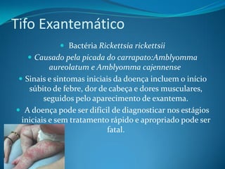 Tifo Exantemático
             Bactéria Rickettsia rickettsii
    Causado pela picada do carrapato:Amblyomma
           aureolatum e Amblyomma cajennense
  Sinais e sintomas iniciais da doença incluem o início
    súbito de febre, dor de cabeça e dores musculares,
         seguidos pelo aparecimento de exantema.
 A doença pode ser difícil de diagnosticar nos estágios
  iniciais e sem tratamento rápido e apropriado pode ser
                            fatal.
 