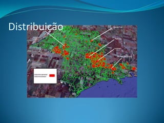 Distribuição
 