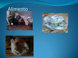 Alimento
 