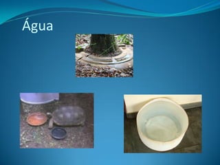 Água
 