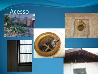 Acesso
 