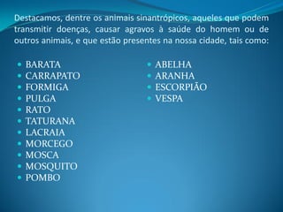 Destacamos, dentre os animais sinantrópicos, aqueles que podem
transmitir doenças, causar agravos à saúde do homem ou de
outros animais, e que estão presentes na nossa cidade, tais como:

   BARATA                          ABELHA
   CARRAPATO                       ARANHA
   FORMIGA                         ESCORPIÃO
   PULGA                           VESPA
   RATO
   TATURANA
   LACRAIA
   MORCEGO
   MOSCA
   MOSQUITO
   POMBO
 