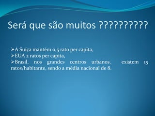 Será que são muitos ??????????

A Suíça mantém 0,5 rato per capita,
EUA 2 ratos per capita,
Brasil, nos grandes centros urbanos,           existem   15
ratos/habitante, sendo a média nacional de 8.
 
