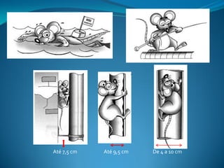 Até 7,5 cm   Até 9,5 cm   De 4 a 10 cm
 