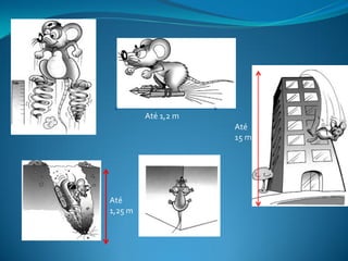 Até 1,2 m
                     Até
                     15 m




Até
1,25 m
 