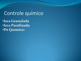 Controle químico
•Isca Granulada
•Isca Parafinada
•Pó Químico:
 