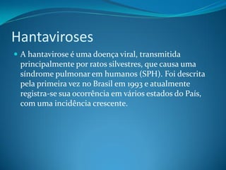 Hantaviroses
 A hantavirose é uma doença viral, transmitida
 principalmente por ratos silvestres, que causa uma
 síndrome pulmonar em humanos (SPH). Foi descrita
 pela primeira vez no Brasil em 1993 e atualmente
 registra-se sua ocorrência em vários estados do País,
 com uma incidência crescente.
 