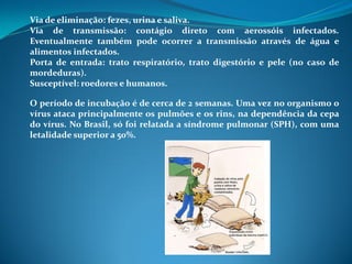 Via de eliminação: fezes, urina e saliva.
Via de transmissão: contágio direto com aerossóis infectados.
Eventualmente também pode ocorrer a transmissão através de água e
alimentos infectados.
Porta de entrada: trato respiratório, trato digestório e pele (no caso de
mordeduras).
Susceptível: roedores e humanos.

O período de incubação é de cerca de 2 semanas. Uma vez no organismo o
vírus ataca principalmente os pulmões e os rins, na dependência da cepa
do vírus. No Brasil, só foi relatada a síndrome pulmonar (SPH), com uma
letalidade superior a 50%.
 
