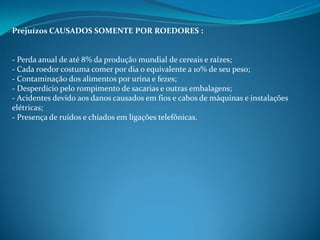 Prejuízos CAUSADOS SOMENTE POR ROEDORES :


- Perda anual de até 8% da produção mundial de cereais e raízes;
- Cada roedor costuma comer por dia o equivalente a 10% de seu peso;
- Contaminação dos alimentos por urina e fezes;
- Desperdício pelo rompimento de sacarias e outras embalagens;
- Acidentes devido aos danos causados em fios e cabos de máquinas e instalações
elétricas;
- Presença de ruídos e chiados em ligações telefônicas.
 