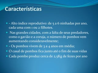 Características

 - Alto índice reprodutivo: de 5 a 6 ninhadas por ano,
    cada uma com 1 ou 2 filhotes.
    Nas grandes cidades, com a falta de seus predadores,
    como o gavião e a coruja, o número de pombos vem
    aumentando consideravelmente;
   - Os pombos vivem de 3 a 4 anos em média;
   O casal de pombos fica junto até o fim de suas vidas
   Cada pombo produz cerca de 2,5Kg de fezes por ano
 