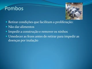 Pombos

 Retirar condições que facilitam a proliferação:
 Não dar alimentos
 Impedir a construção e remover os ninhos
 Umedecer as fezes antes de retirar para impedir as
 doenças por inalação
 