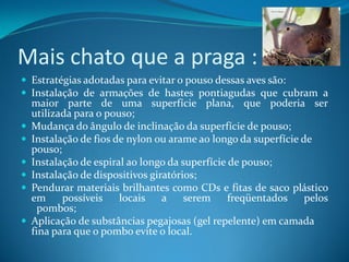 Mais chato que a praga :
 Estratégias adotadas para evitar o pouso dessas aves são:
 Instalação de armações de hastes pontiagudas que cubram a
    maior parte de uma superfície plana, que poderia ser
    utilizada para o pouso;
   Mudança do ângulo de inclinação da superfície de pouso;
   Instalação de fios de nylon ou arame ao longo da superfície de
    pouso;
   Instalação de espiral ao longo da superfície de pouso;
   Instalação de dispositivos giratórios;
   Pendurar materiais brilhantes como CDs e fitas de saco plástico
    em     possíveis    locais    a    serem     freqüentados    pelos
      pombos;
   Aplicação de substâncias pegajosas (gel repelente) em camada
    fina para que o pombo evite o local.
 