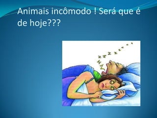 Animais incômodo ! Será que é
de hoje???
 