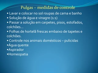 Pulgas – medidas de controle
• Lavar e colocar no sol roupas de cama e banho
• Solução de água e vinagre (1:1)
• Passar a solução em carpetes, pisos, estofados,
colchões...
• Folhas de hortelã frescas embaixo de tapetes e
colchões.
• Controle nos animais domésticos – pulicidas
•Água quente
•Aspirador
•Homeopatia
 