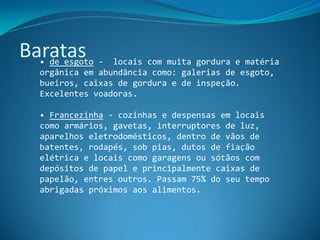Baratas -
  • de esgoto     locais com muita gordura e matéria
   orgânica em abundância como: galerias de esgoto,
   bueiros, caixas de gordura e de inspeção.
   Excelentes voadoras.

   • Francezinha - cozinhas e despensas em locais
   como armários, gavetas, interruptores de luz,
   aparelhos eletrodomésticos, dentro de vãos de
   batentes, rodapés, sob pias, dutos de fiação
   elétrica e locais como garagens ou sótãos com
   depósitos de papel e principalmente caixas de
   papelão, entres outros. Passam 75% do seu tempo
   abrigadas próximos aos alimentos.
 