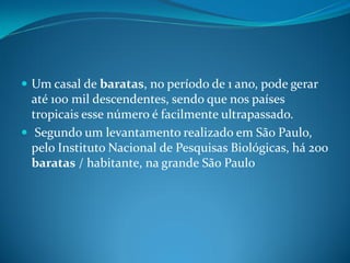  Um casal de baratas, no período de 1 ano, pode gerar
  até 100 mil descendentes, sendo que nos países
  tropicais esse número é facilmente ultrapassado.
 Segundo um levantamento realizado em São Paulo,
  pelo Instituto Nacional de Pesquisas Biológicas, há 200
  baratas / habitante, na grande São Paulo
 