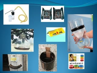 Animais sinantrópicos