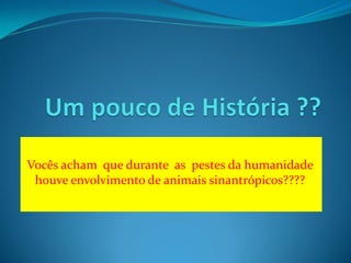 Vocês acham que durante as pestes da humanidade
 houve envolvimento de animais sinantrópicos????
 
