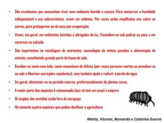 •

São crustáceos que necessitam viver num ambiente húmido e escuro. Para conservar a humidade
indispensável à sua sobrevivência, vivem em colónias. Por vezes estão empilhados uns sobre os
outros, para protegerem-se da seca por evaporação.

•

Vivem, em geral, em ambientes húmidos e abrigados da luz. Escondem-se sob pedras ou paus e em

cavernas no subsolo.
•

São importantes na reciclagem de nutrientes, acumulação de metais pesados e alimentação de
animais, constituindo grande parte da fauna de solo.

•

Enrolam-se como uma bola, como mecanismo de defesa (por vezes parecem mortos ou prendem-se
ao solo e libertam secreções repelentes), mas também ajuda a reduzir a perda de água.

•

Em geral, alimentam-se no período noturno, preferencialmente de plantas novas.

•

A maior parte das espécies é unissexuada (que só tem um sexo) e ovípara.

•

Os órgãos dos sentidos estão fora da carapaça.

•

Há somente quatro espécies que podem danificar a agricultura.
Marta, Vicente, Bernardo e Catarina Guerra

 