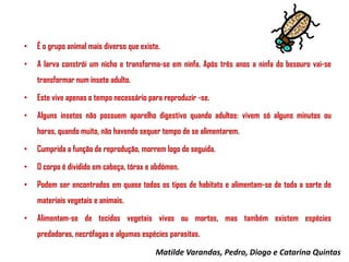 •

É o grupo animal mais diverso que existe.

•

A larva constrói um nicho e transforma-se em ninfa. Após três anos a ninfa do besouro vai-se
transformar num inseto adulto.

•

Este vive apenas o tempo necessário para reproduzir -se.

•

Alguns insetos não possuem aparelho digestivo quando adultos: vivem só alguns minutos ou
horas, quando muito, não havendo sequer tempo de se alimentarem.

•

Cumprida a função de reprodução, morrem logo de seguida.

•

O corpo é dividido em cabeça, tórax e abdómen.

•

Podem ser encontrados em quase todos os tipos de habitats e alimentam-se de toda a sorte de
materiais vegetais e animais.

•

Alimentam-se de tecidos vegetais vivos ou mortos, mas também existem espécies

predadoras, necrófagas e algumas espécies parasitas.
Matilde Varandas, Pedro, Diogo e Catarina Quintas

 
