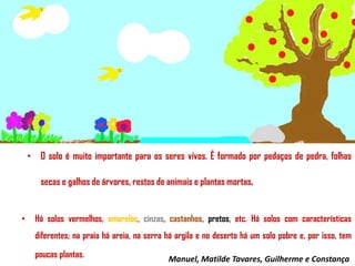 • O solo é muito importante para os seres vivos. É formado por pedaços de pedra, folhas
secas e galhos de árvores, restos de animais e plantas mortas.  

•

Há solos vermelhos, amarelos, cinzas, castanhos, pretos, etc. Há solos com características
diferentes; na praia há areia, na serra há argila e no deserto há um solo pobre e, por isso, tem
poucas plantas.  

Manuel, Matilde Tavares, Guilherme e Constança

 