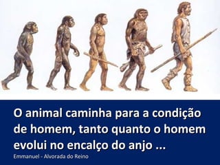O animal caminha para a condiçãoO animal caminha para a condição
de homem, tanto quanto o homemde homem, tanto quanto o homem
evolui no encalço do anjo ...evolui no encalço do anjo ...
Emmanuel - Alvorada do ReinoEmmanuel - Alvorada do Reino
 