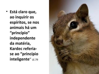 • Está claro que,
ao inquirir os
espíritos, se nos
animais há um
“princípio”
independente
da matéria,
Kardec referia-
se ao “princípio
inteligente” LE.79
 