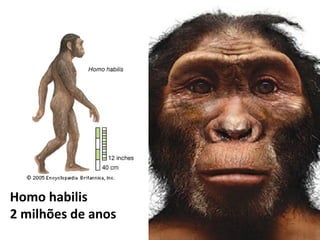 Homo habilis
2 milhões de anos
 