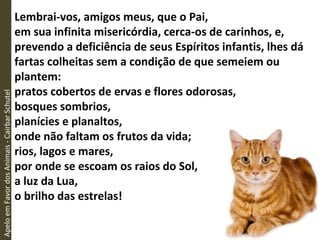 Lembrai-vos, amigos meus, que o Pai,
em sua infinita misericórdia, cerca-os de carinhos, e,
prevendo a deficiência de seus Espíritos infantis, lhes dá
fartas colheitas sem a condição de que semeiem ou
plantem:
pratos cobertos de ervas e flores odorosas,
bosques sombrios,
planícies e planaltos,
onde não faltam os frutos da vida;
rios, lagos e mares,
por onde se escoam os raios do Sol,
a luz da Lua,
o brilho das estrelas!
ApeloemFavordosAnimais-CairbarSchutel
 
