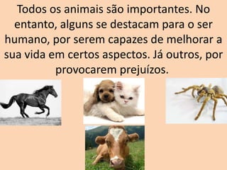 Todos os animais são importantes. No
entanto, alguns se destacam para o ser
humano, por serem capazes de melhorar a
sua vida em certos aspectos. Já outros, por
provocarem prejuízos.
 