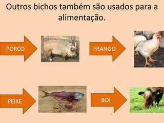 Outros bichos também são usados para a
alimentação.
PORCO
PEIXE
FRANGO
BOI
 