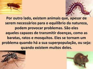 Por outro lado, existem animais que, apesar de
serem necessários para o equilíbrio da natureza,
podem provocar problemas. São eles
aqueles capazes de transmitir doenças, como as
baratas, ratos e mosquitos. Eles se tornam um
problema quando há a sua superpopulação, ou seja:
quando existem muitos deles.
 