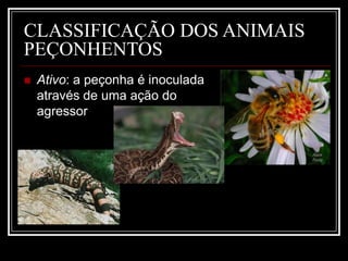 Animais venenosos