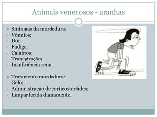 Animais venenosos - aranhas

   Sintomas da mordedura:
-   Vómitos;
-   Dor;
-   Fadiga;
-   Calafrios;
-   Transpiração;
-   Insuficiência renal.

   Tratamento mordedura:
-   Gelo;
-   Administração de corticosteróides;
-   Limpar ferida diariamente.
 