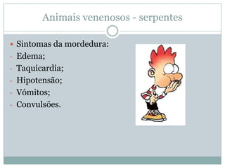 Animais venenosos - serpentes

 Sintomas da mordedura:
- Edema;
- Taquicardia;
- Hipotensão;
- Vómitos;
- Convulsões.
 