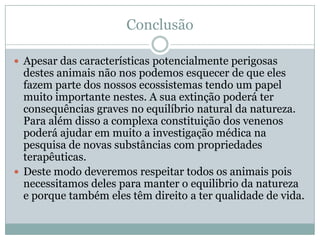 Conclusão

 Apesar das características potencialmente perigosas
  destes animais não nos podemos esquecer de que eles
  fazem parte dos nossos ecossistemas tendo um papel
  muito importante nestes. A sua extinção poderá ter
  consequências graves no equilíbrio natural da natureza.
  Para além disso a complexa constituição dos venenos
  poderá ajudar em muito a investigação médica na
  pesquisa de novas substâncias com propriedades
  terapêuticas.
 Deste modo deveremos respeitar todos os animais pois
  necessitamos deles para manter o equilibrio da natureza
  e porque também eles têm direito a ter qualidade de vida.
 