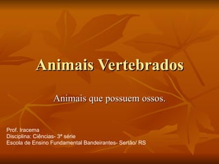 Animais Vertebrados Animais que possuem ossos. Prof. Iracema Disciplina: Ciências- 3ª série Escola de Ensino Fundamental Bandeirantes- Sertão/ RS 