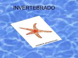 INVERTEBRADO 