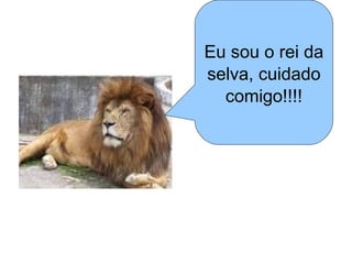 Eu sou o rei da selva, cuidado comigo!!!! 