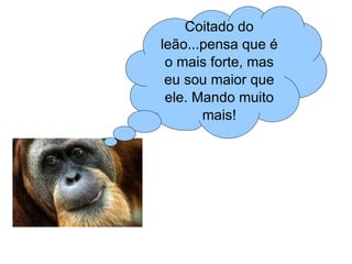 Coitado do leão...pensa que é o mais forte, mas eu sou maior que ele. Mando muito mais! 