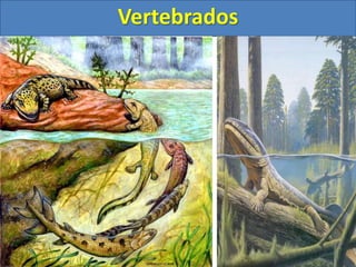 Vertebrados
 