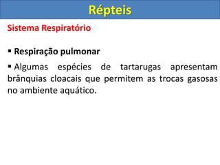 Sistema Respiratório
 Respiração pulmonar
 Algumas espécies de tartarugas apresentam
brânquias cloacais que permitem as trocas gasosas
no ambiente aquático.
Répteis
 
