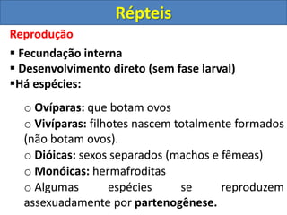 Reprodução
 Fecundação interna
 Desenvolvimento direto (sem fase larval)
Há espécies:
o Ovíparas: que botam ovos
o Vivíparas: filhotes nascem totalmente formados
(não botam ovos).
o Dióicas: sexos separados (machos e fêmeas)
o Monóicas: hermafroditas
o Algumas espécies se reproduzem
assexuadamente por partenogênese.
Répteis
 
