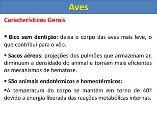 Características Gerais
 Bico sem dentição: deixa o corpo das aves mais leve, o
que contribui para o vôo.
 Sacos aéreos: projeções dos pulmões que armazenam ar,
diminuem a densidade do animal e tornam mais eficientes
os mecanismos de hematose.
 São animais endotérmicos e homeotérmicos:
A temperatura do corpo se mantém em torno de 40º
devido a energia liberada das reações metabólicas internas.
Aves
 