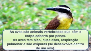 As aves são animais vertebrados que têm o
corpo coberto por penas.
As aves tem bico, duas asas, respiração
pulmonar e são ovíparas (se desenvolve dentro
de um ovo).
 