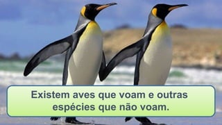 Existem aves que voam e outras
espécies que não voam.
 