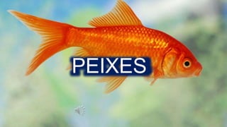 PEIXES
 